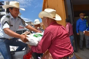 Familias del oriente beneficiadas con frijol biofortificado ICTA Chortí ACM